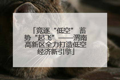竞逐“低空” 蓄势“起飞”——渭南高新区全力打造低空经济新引擎