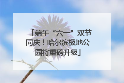 端午“六一”双节同庆！哈尔滨极地公园将重磅升级
