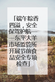 端午粽香四溢，安全保驾护航——东平大羊市场监管所开展节前食品安全专项检查