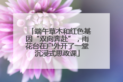 端午草木和红色基因“双向奔赴”，雨花台在户外开了一堂沉浸式思政课