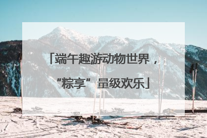 端午趣游动物世界，“粽享”量级欢乐