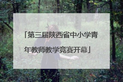 第三届陕西省中小学青年教师教学竞赛开幕