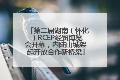 第二届湖南（怀化）RCEP经贸博览会开幕，内陆山城架起开放合作新桥梁