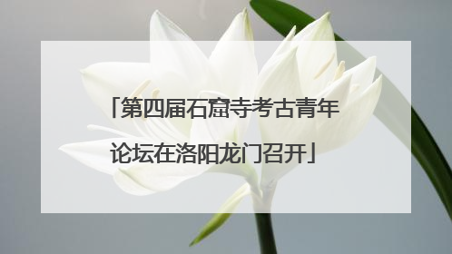 第四届石窟寺考古青年论坛在洛阳龙门召开