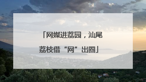 网媒进荔园，汕尾荔枝借“网”出圈