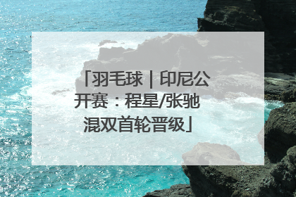 羽毛球｜印尼公开赛：程星/张驰混双首轮晋级