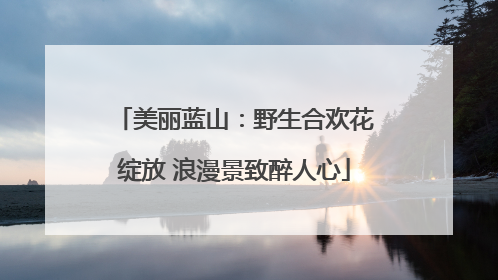 美丽蓝山：野生合欢花绽放 浪漫景致醉人心