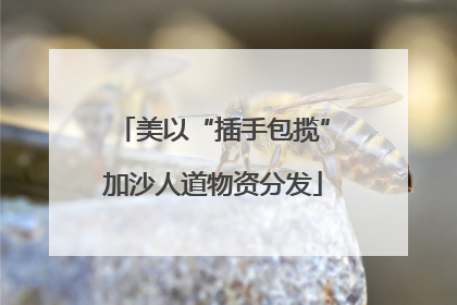 美以“插手包揽”加沙人道物资分发