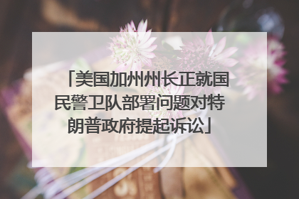 美国加州州长正就国民警卫队部署问题对特朗普政府提起诉讼