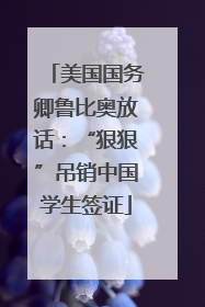 美国国务卿鲁比奥放话：“狠狠”吊销中国学生签证