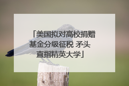 美国拟对高校捐赠基金分级征税 矛头直指精英大学