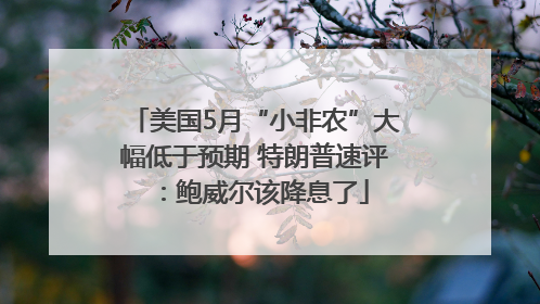 美国5月“小非农”大幅低于预期 特朗普速评：鲍威尔该降息了