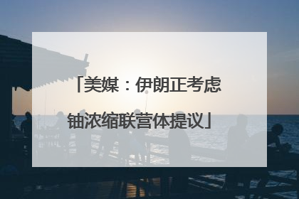 美媒：伊朗正考虑铀浓缩联营体提议