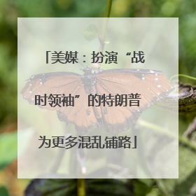 美媒：扮演“战时领袖”的特朗普为更多混乱铺路