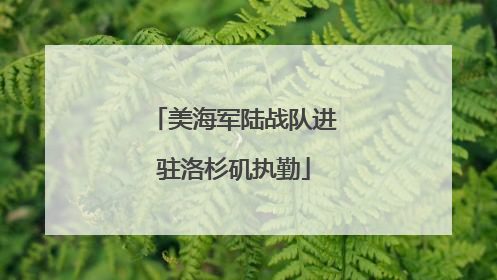 美海军陆战队进驻洛杉矶执勤