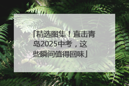 精选图集！直击青岛2025中考，这些瞬间值得回味