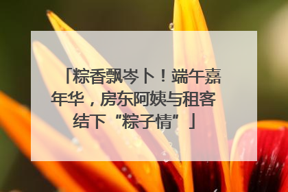 粽香飘岑卜！端午嘉年华，房东阿姨与租客结下“粽子情”