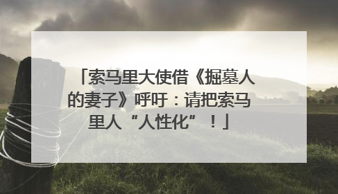 索马里大使借《掘墓人的妻子》呼吁：请把索马里人“人性化”！