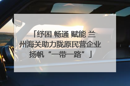 纾困 畅通 赋能 兰州海关助力陇原民营企业扬帆“一带一路”
