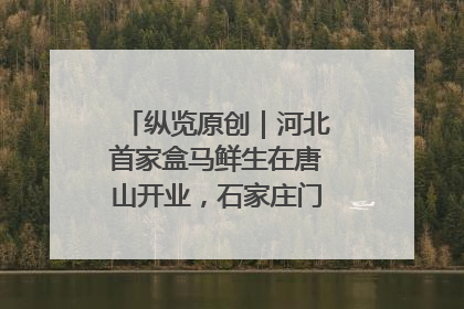 纵览原创｜河北首家盒马鲜生在唐山开业，石家庄门店预计8月开业