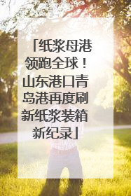 纸浆母港领跑全球！山东港口青岛港再度刷新纸浆装箱新纪录