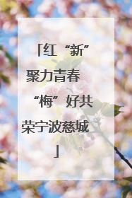 红“新”聚力青春 “梅”好共荣宁波慈城