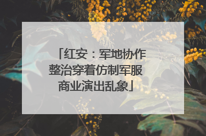 红安：军地协作整治穿着仿制军服商业演出乱象