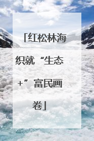 红松林海织就“生态+”富民画卷