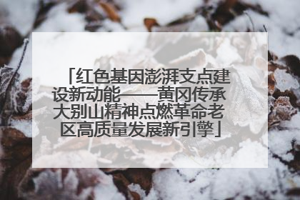 红色基因澎湃支点建设新动能——黄冈传承大别山精神点燃革命老区高质量发展新引擎