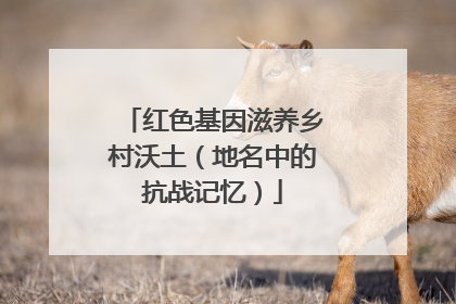 红色基因滋养乡村沃土（地名中的抗战记忆）