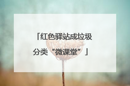 红色驿站成垃圾分类“微课堂”