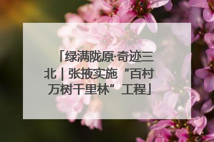 绿满陇原·奇迹三北｜张掖实施“百村万树千里林”工程