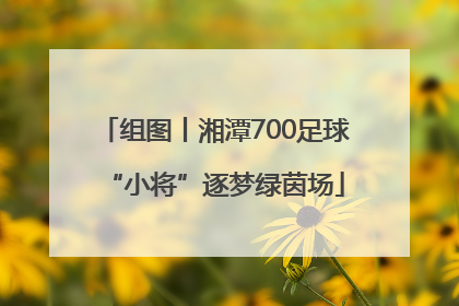 组图丨湘潭700足球“小将”逐梦绿茵场