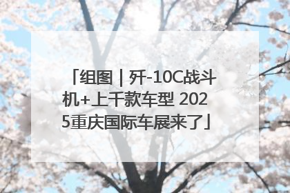 组图｜歼-10C战斗机+上千款车型 2025重庆国际车展来了