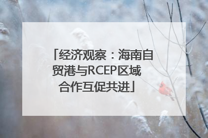 经济观察：海南自贸港与RCEP区域合作互促共进