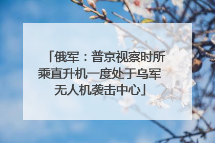 俄军：普京视察时所乘直升机一度处于乌军无人机袭击中心