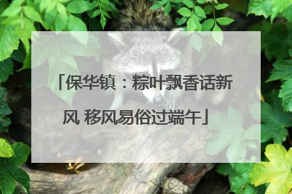 保华镇：粽叶飘香话新风 移风易俗过端午
