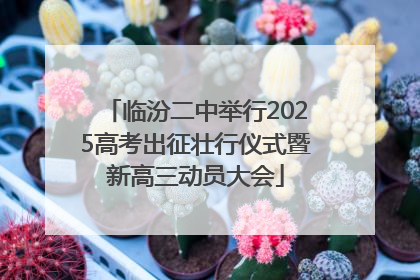 临汾二中举行2025高考出征壮行仪式暨新高三动员大会