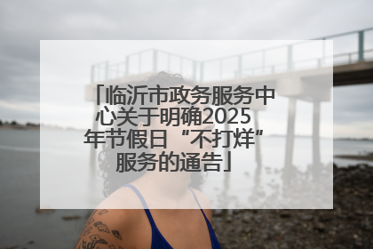 临沂市政务服务中心关于明确2025年节假日“不打烊”服务的通告