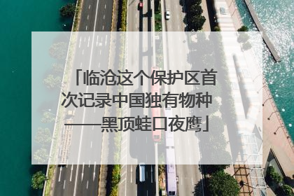 临沧这个保护区首次记录中国独有物种——黑顶蛙口夜鹰