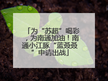 为“苏超”喝彩，为南通加油！南通小江豚“蓝叒叒”申请出战