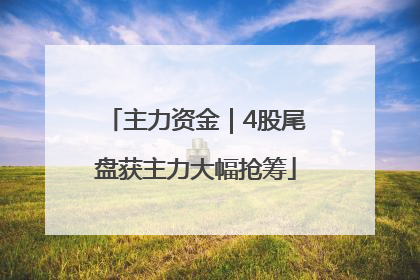 主力资金｜4股尾盘获主力大幅抢筹