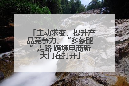 主动求变、提升产品竞争力、“多条腿”走路 跨境电商新大门在打开