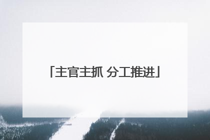 主官主抓 分工推进
