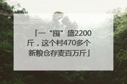 一“囤”盛2200斤，这个村470多个新粮仓存麦百万斤