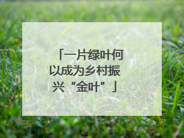 一片绿叶何以成为乡村振兴“金叶”