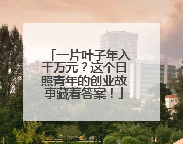 一片叶子年入千万元？这个日照青年的创业故事藏着答案！