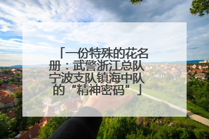 一份特殊的花名册：武警浙江总队宁波支队镇海中队的“精神密码”