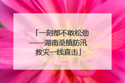 一刻都不敢松劲——湖南桑植防汛救灾一线直击
