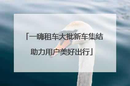 一嗨租车大批新车集结 助力用户美好出行